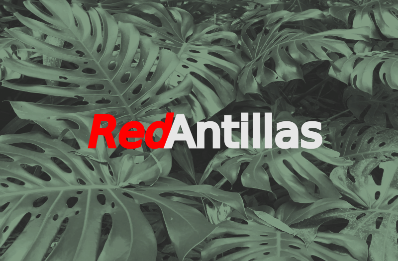 Germinando una comunidad digital.