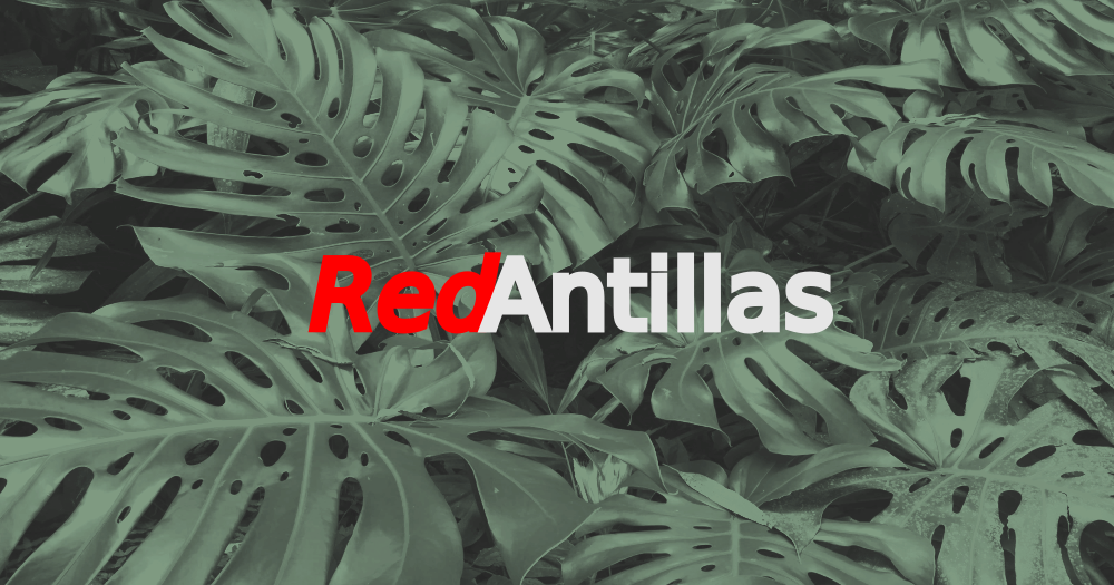 Un fondo de foliaje tropical con un filtro verde y sobre el fondo el título RedAntillas. "Red" tiene color rojo, mientras que "Antillas" es gris claro.